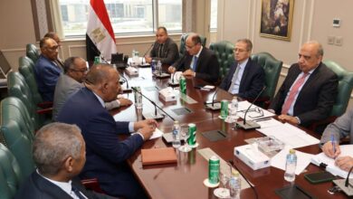 اجتماع القاهرة والخرطوم