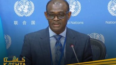 السفير الحارث إدريس