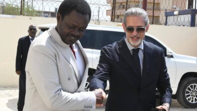مناوي يستقبل السفير المصري بالخرطوم