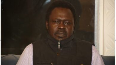 حاكم إقليم دارفور، مني أركو مناوي